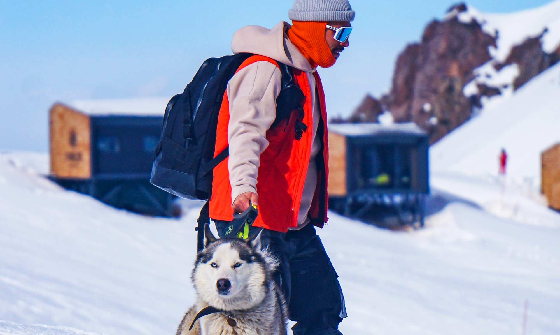 10 Things to know about your Alaskan Malamute help-dog-emergency